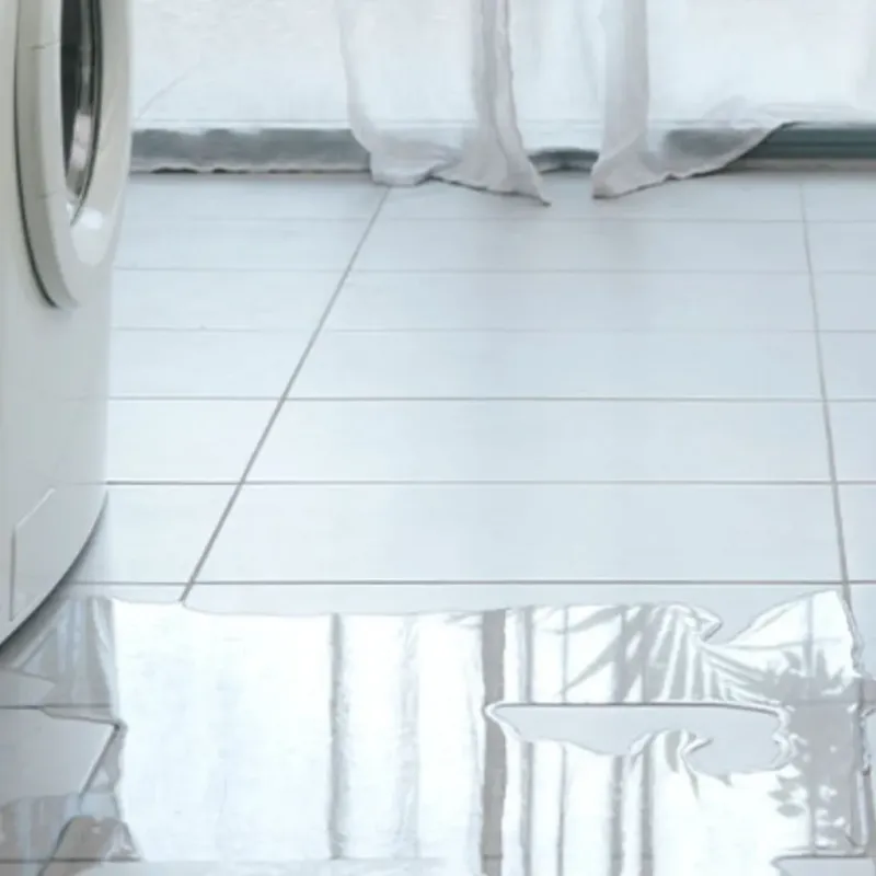 Appliance Leak Cleanup in Lannon, WI