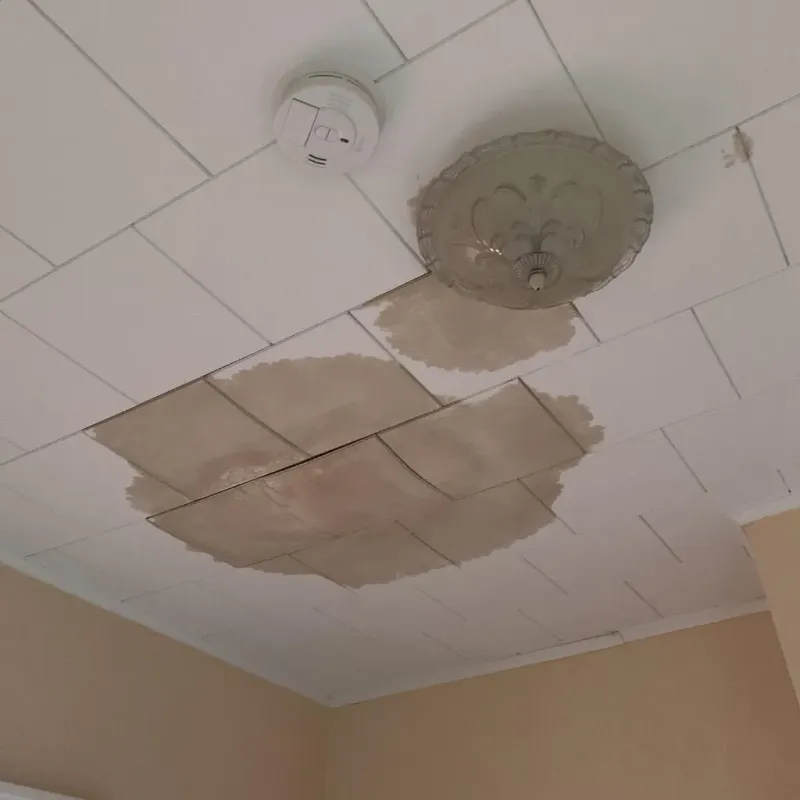 Ceiling Water Damage Repair in Lannon, WI
