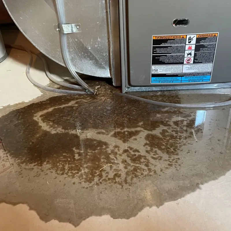 Pipe Burst and Leak Restoration in Lannon, WI