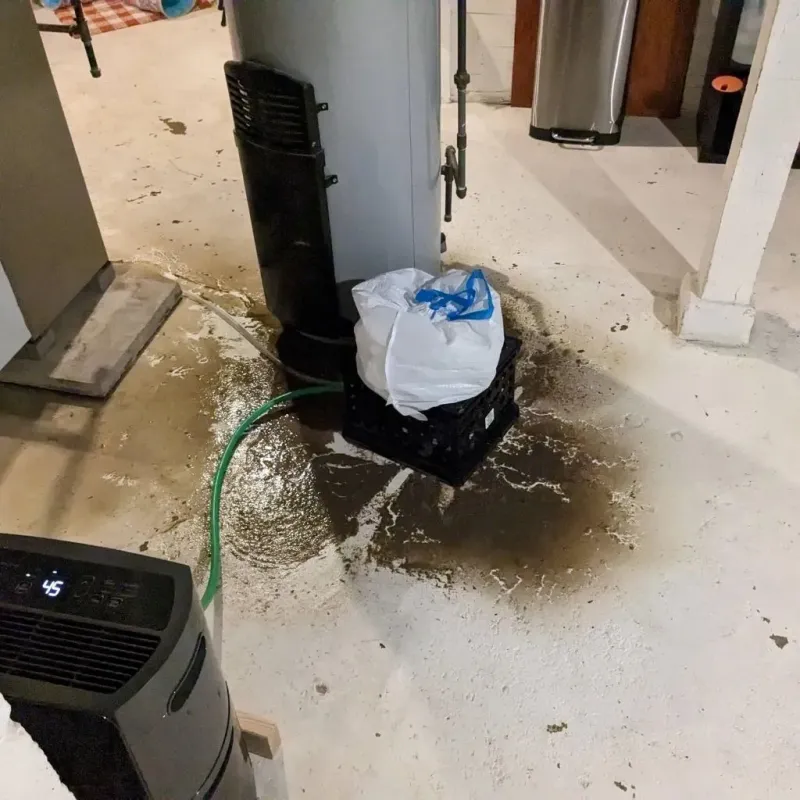 Sewage Backup Cleanup Service in Lannon, WI